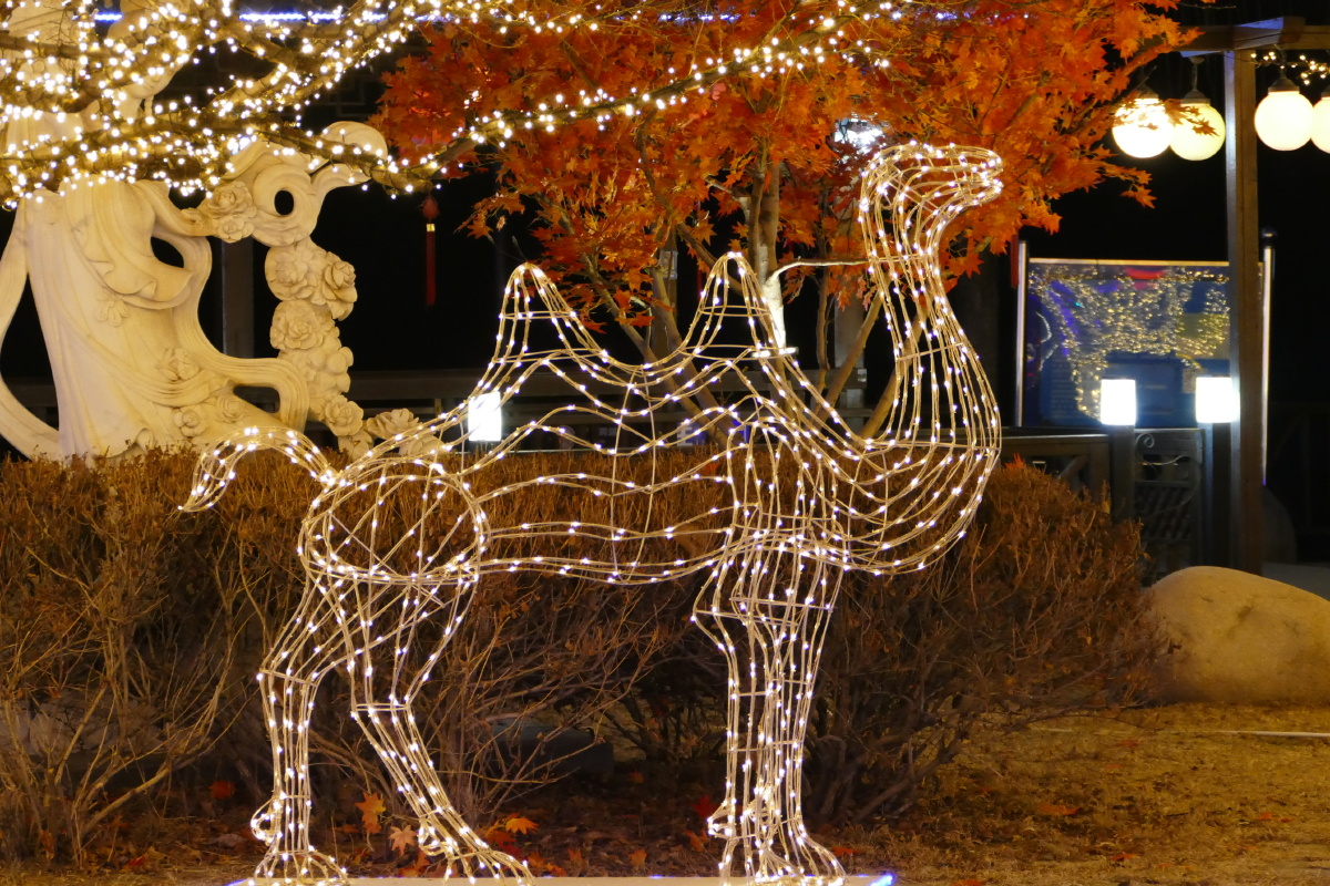 龙庆峡夜空下灯光秀