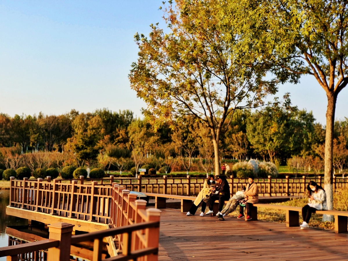 房山长阳公园秋日暖阳人们尽情的享受闲暇时光黄栌把秋色渲染西阳让