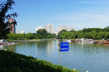 1000106254