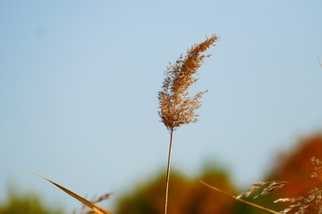 39080