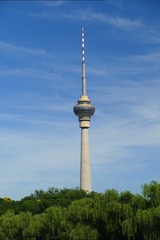 1000106247