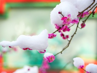 EF3795A8-B355-419F-97A6-51BA347DC977/L0/001
