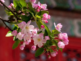 2957A7DB-4F3A-4410-8854-9D1251F66A8A/L0/001