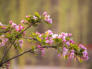 5F2E1A34-B36F-4BDD-B81B-16C3F6F4C44A/L0/001
