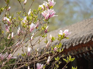 32FEC94B-3DF4-41B7-A9AE-8B2F51122022/L0/001