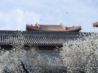 D8BD25A0-1053-4880-A021-610136C02CDF/L0/001