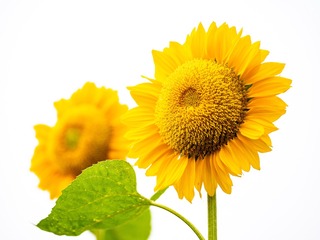 A6179DD9-5954-4894-9EA0-2A127A82F3F4/L0/001