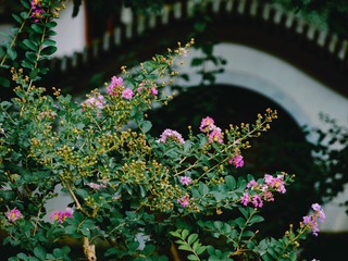 65D52F03-7283-46E2-B50B-A485FFBB4345/L0/001