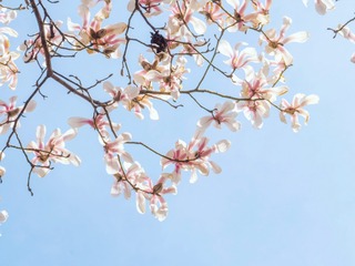 5F5817DB-CB7E-471B-BB2C-DDA59D57689E/L0/001