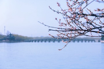 BE265C4D-C6A7-482C-A656-FC4E2E4F6A05/L0/001