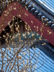 0B390F34-1A88-4ECE-A3F1-998DB4265288/L0/001