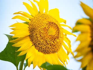 25DDE51A-4208-40E5-B649-8F025CD2F141/L0/001