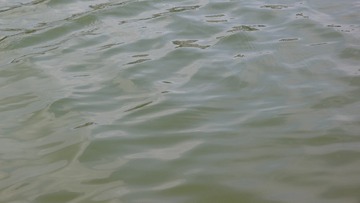 2618189