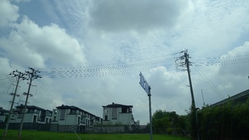 2618174