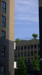 2564859