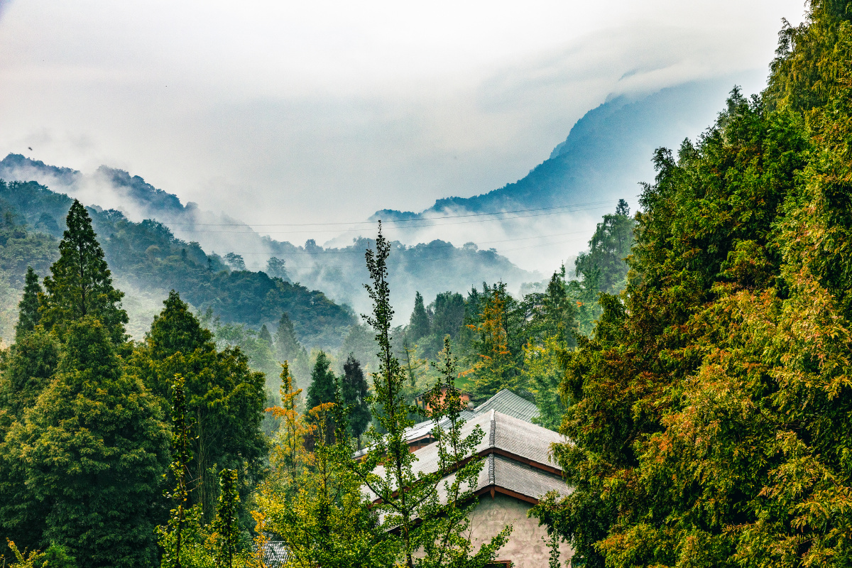 day501成都青城后山