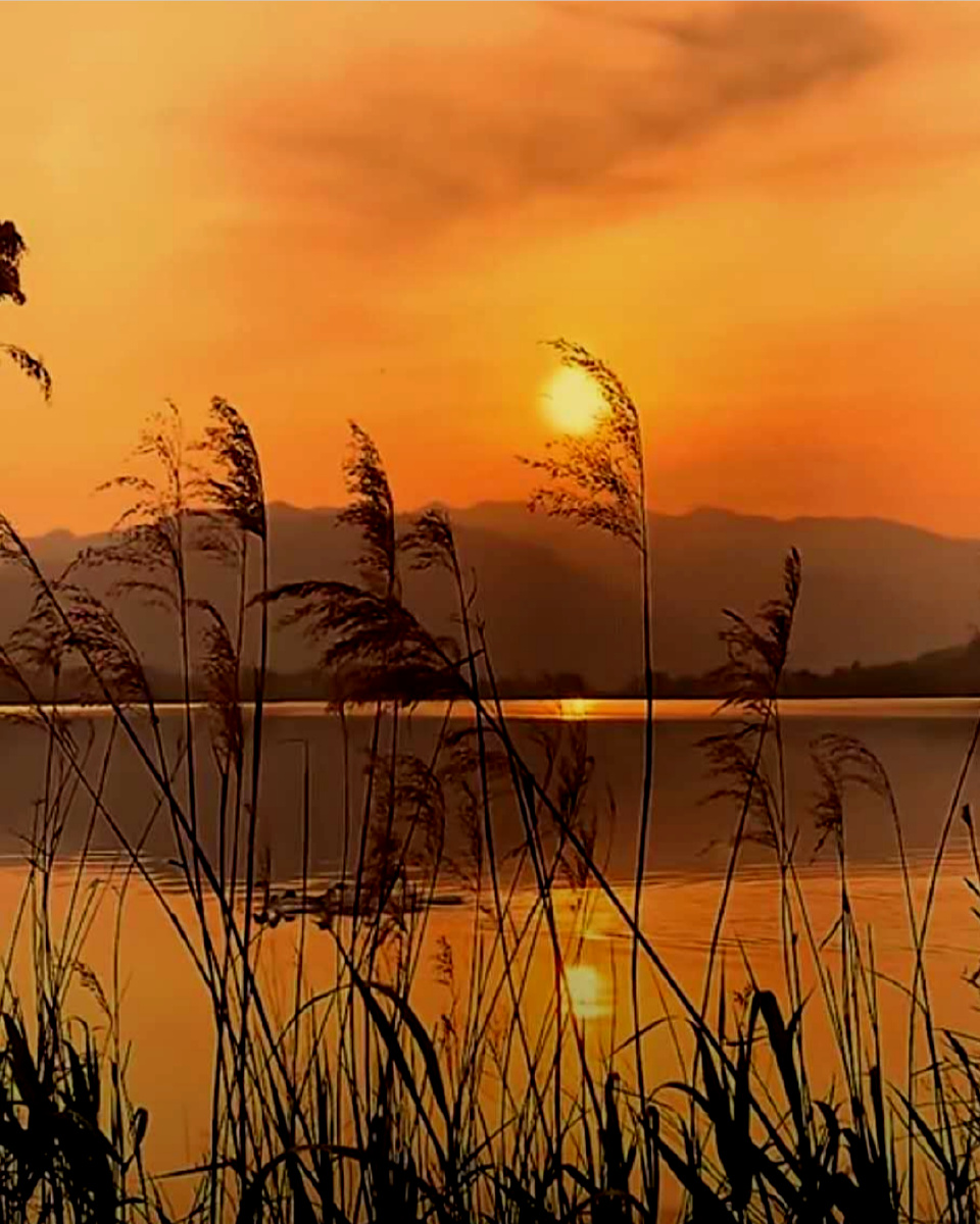 夕阳美如画清风醉晚霞