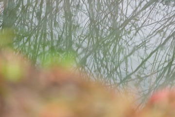9EA10756-8217-4CDD-804E-C94A5AEE7D41/L0/001