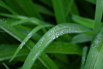 BB1B90B8-1AA7-4D1E-8E48-1F421BD475D2/L0/001