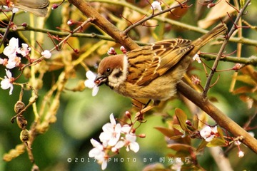 DSC08151_DxO
