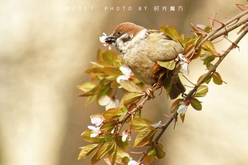 DSC08193_DxO