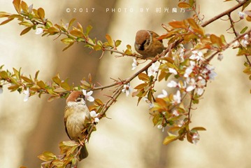 DSC08199_DxO