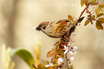 DSC08210_DxO