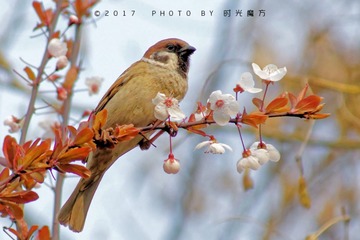 DSC08263_DxO