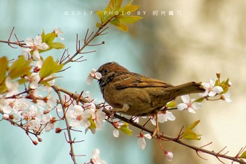 DSC08304_DxO