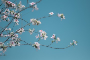 32A3EB6E-7E54-4E27-B793-FC1DF02C54D2/L0/001