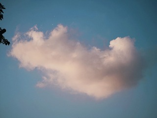 FC3F4394-0C9B-4CCC-8D94-14C3984ACCB4/L0/001