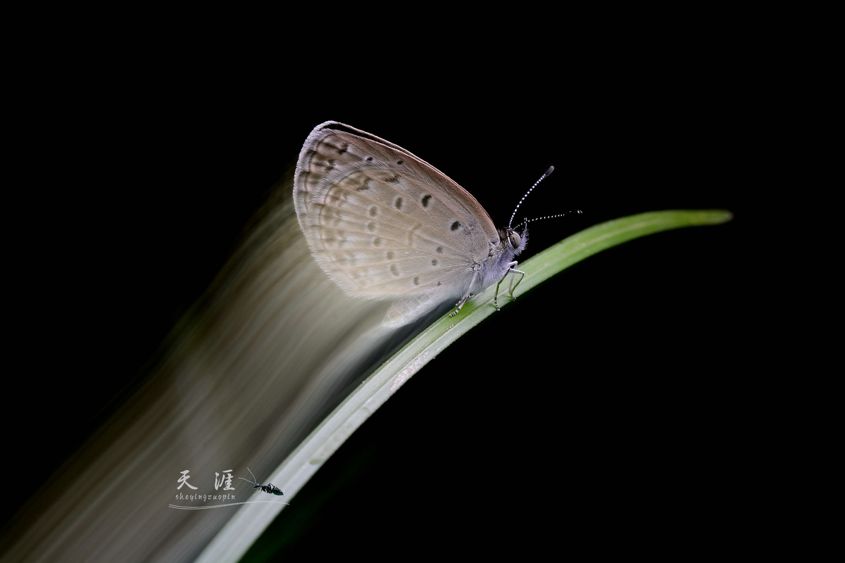 跟着瓜哥学拖影 - 天涯442 - 图虫