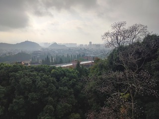 1000067710