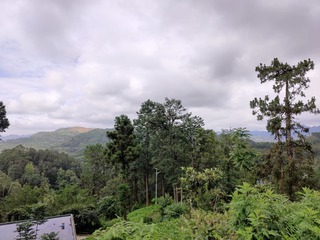 1000064873