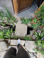 1000064206