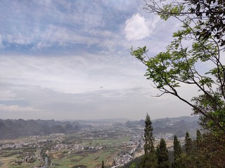 1000057893