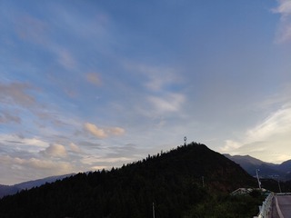 1000065366