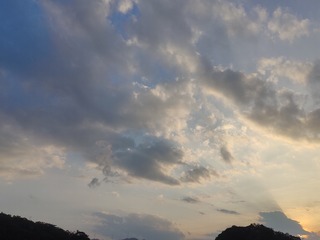 1000065748