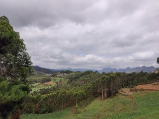 1000064894