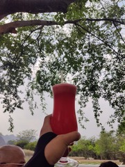 1000058976