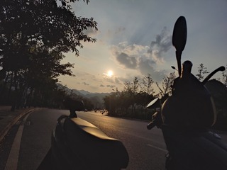 1000065733