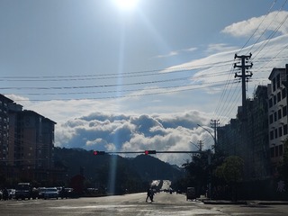 1000062981