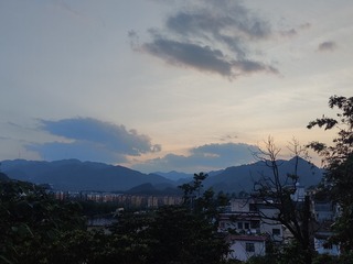 1000065754