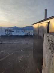 1000067755