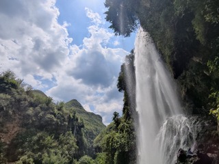1000063781