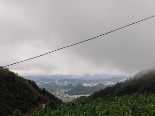 1000064811