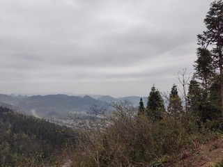 1000057832