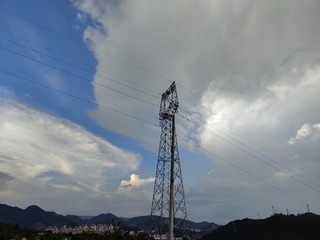1000065351