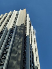 1000044252