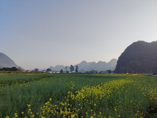 1000057264